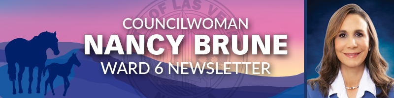 New Ordinance, Events and More from Ward 6 Councilwoman Nancy Brune