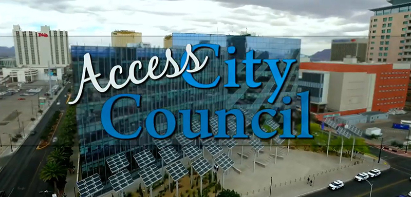 "Access City Council" logo and screenshot