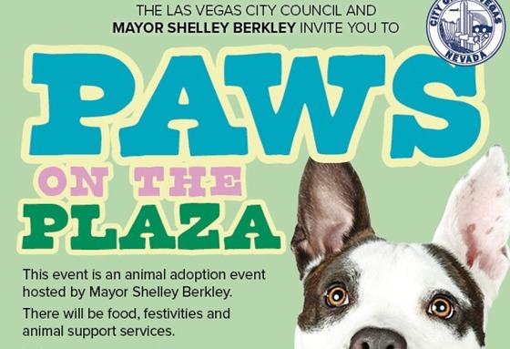 paws on the plaza flyer