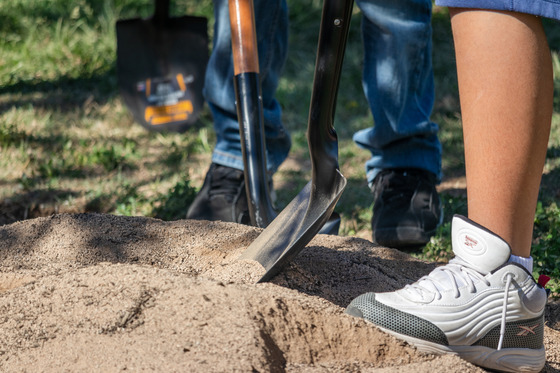 tree planting - two individuals stand on a pile of dirt using a shovel to help plant a tree