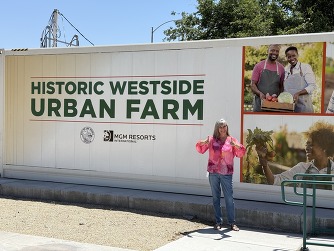 Urban Farm
