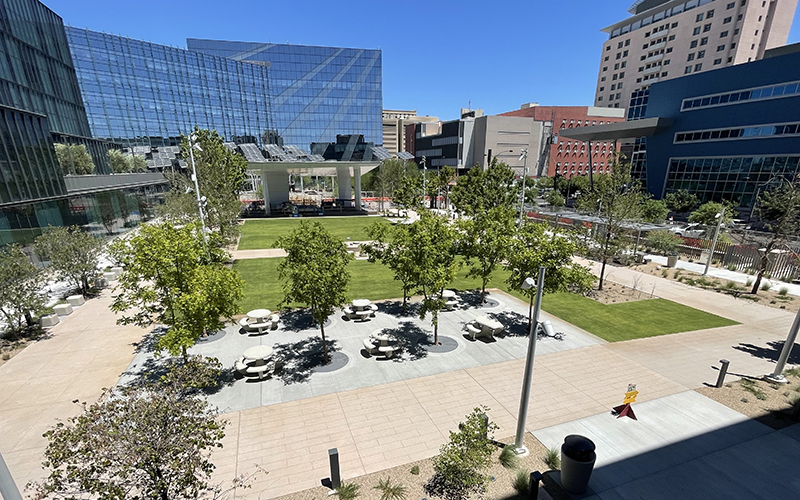 City Hall & Goodman Way