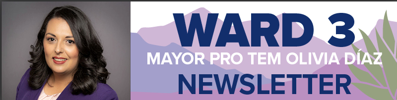 Ward 3 Mayor Pro Tem newsletter header July 2026