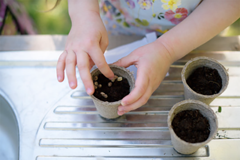 Seed planting in small containers