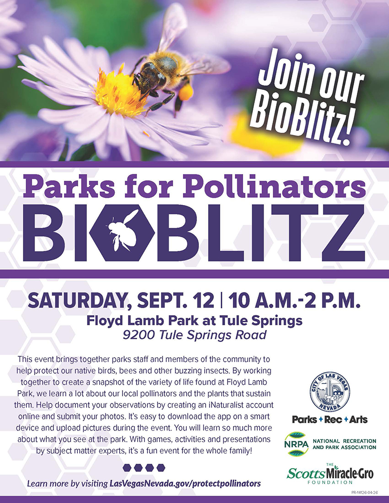 2026 BioBlitz Parks for Pollinators