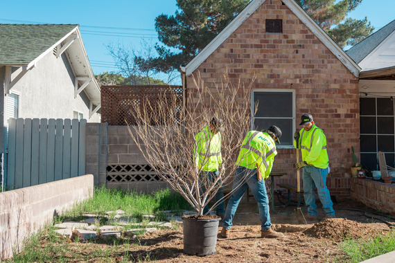 people planting tree