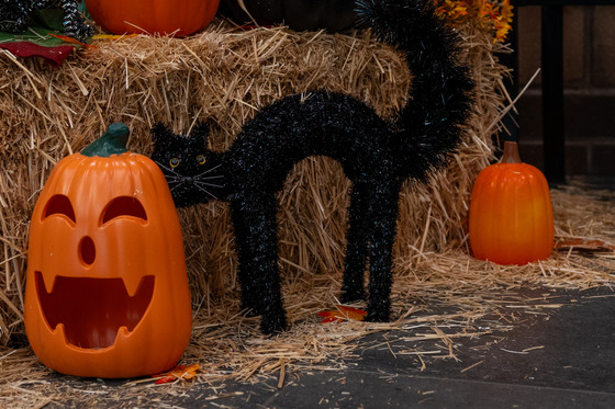 Halloween Decor at Veterans Memorial Community Center