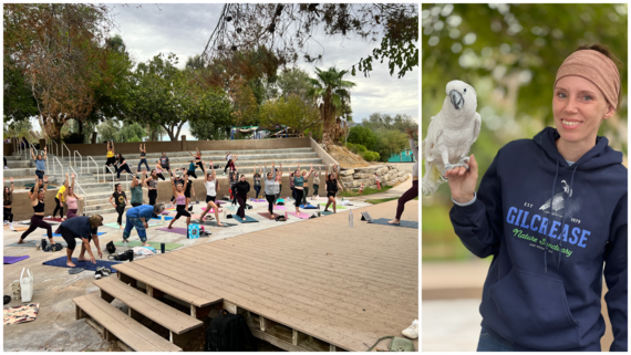 Yoga at the Sanctuary 2026