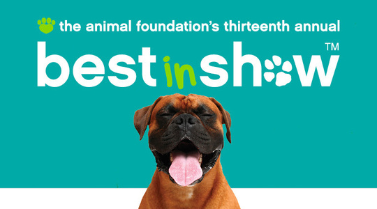 Animal Foundation Best In Show