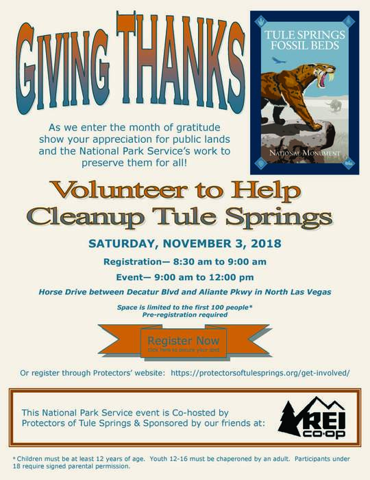 Cleanup Flyer
