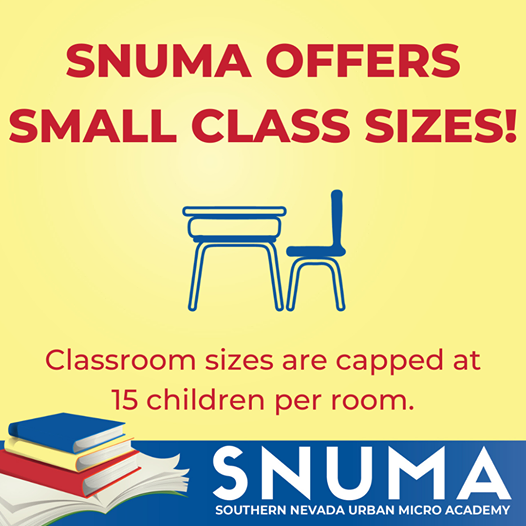 SNUMA flyer