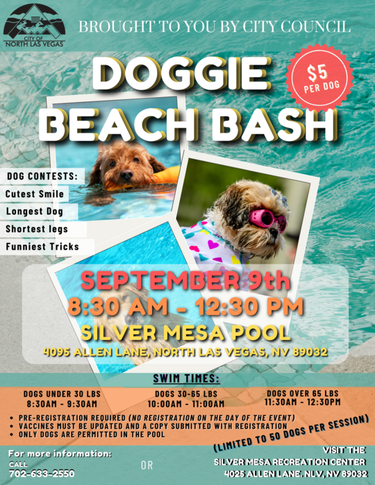 Splash Doggie Day Beach Bash Flyer