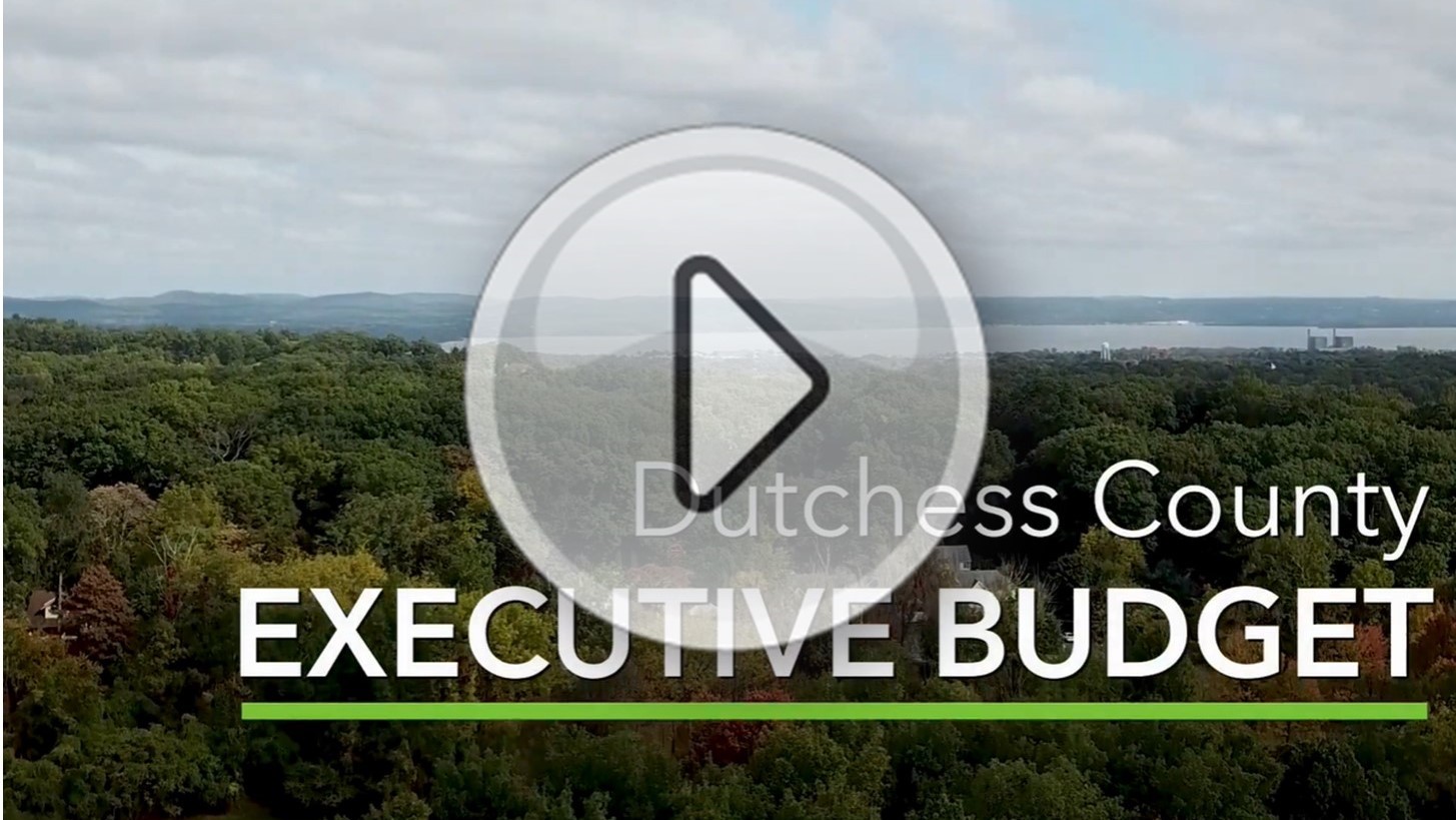 2022 Executive Budget