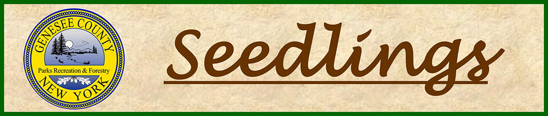 Genesee County Seedlings