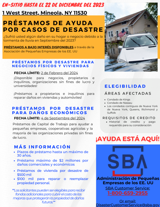 DISASTER LOAN - IN SPANISH