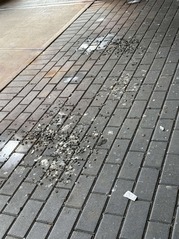 Pigeon Poop