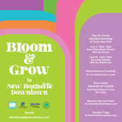 Bloom and Grow