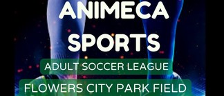 Adult soccer league