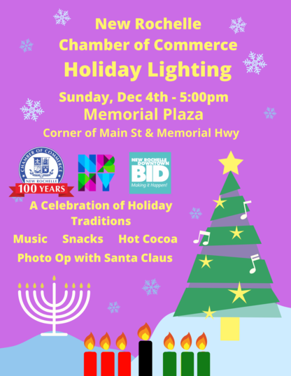 Holiday Lighting flyer