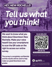 Hunter college survey