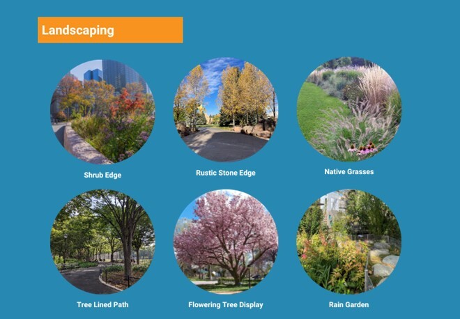 Landscaping examples including shrubs, trees, grasses, stone edges and rain garden