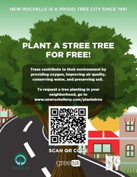 Plant a Street Tree for Free