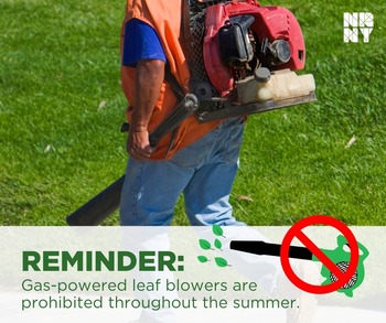 Gas Leaf Blower Prohibited