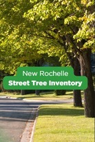 Street Tree Inventory