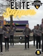 Elite steppers