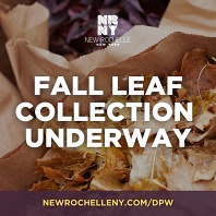 Fall leaf collection graphic