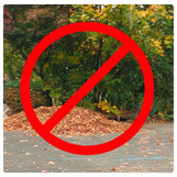 No leaf piles