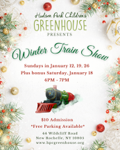 Train Show flyer