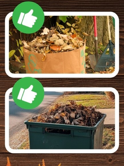 Fall Leaf Collection Begins 10/14