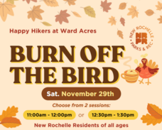 Burn off the Bird