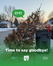 Christmas Tree Removal