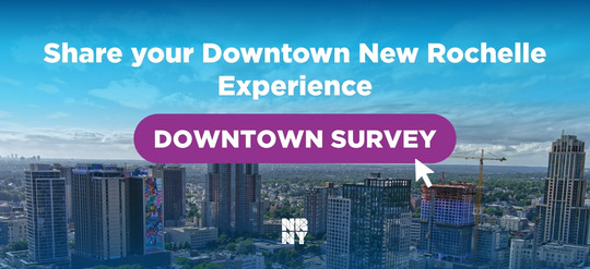 Downtown Experience Survey