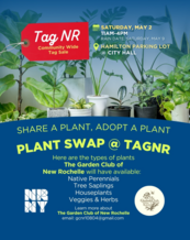 plants