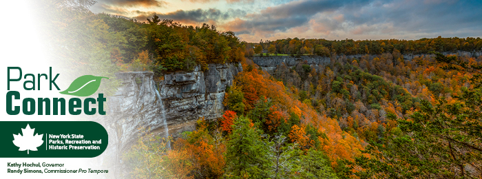 September 2024 Header