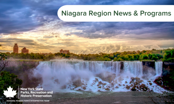 2025 Newsletter Cover 