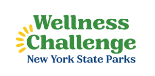 Wellness Challenge