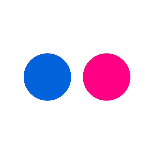 Flickr Icon