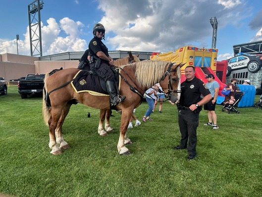 horse