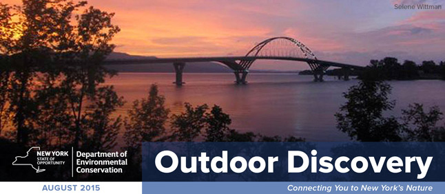 august 2015 outdoor discovery banner