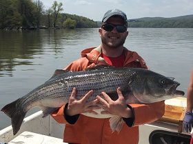 Fisher and Striped Bass on Hudson