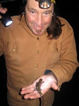 volunteer with spotted salamander