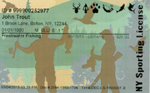 Image of a fishing license