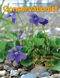 April 2016 Conservationist cover