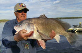 freshwater drum
