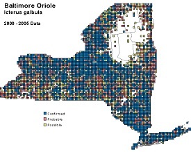 NYS Breeding Bird Atlas map for Baltimore oriole