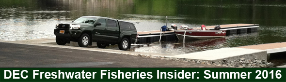 DEC Freshwater Fisheries Insider